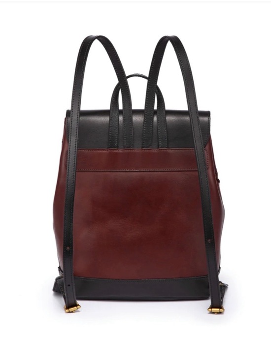 Old Trend Prism Backpack main image 8